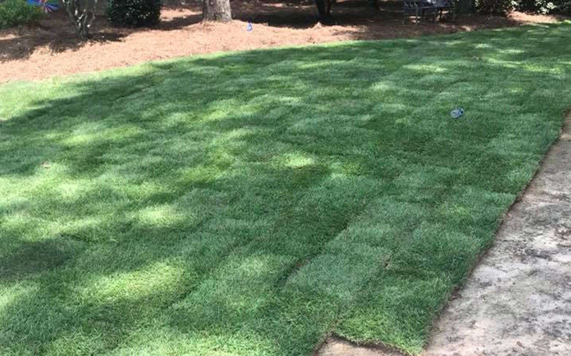 Fresh-laid sod